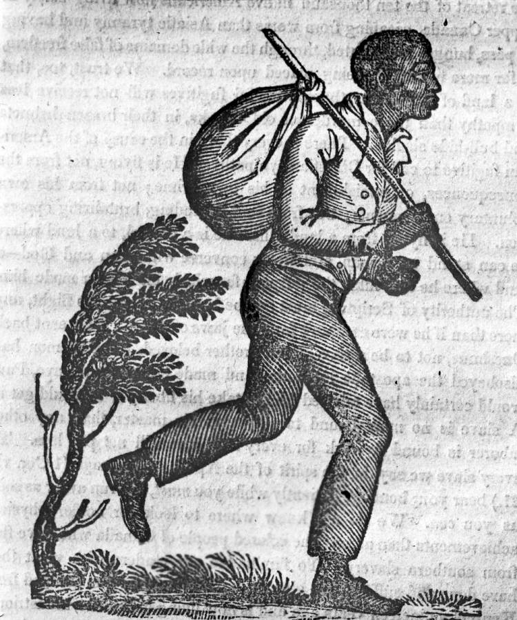 A Runaway Slave, Anti-Slavery Party founded, and the first Republican Party Platform - American Minute with Bill Federer